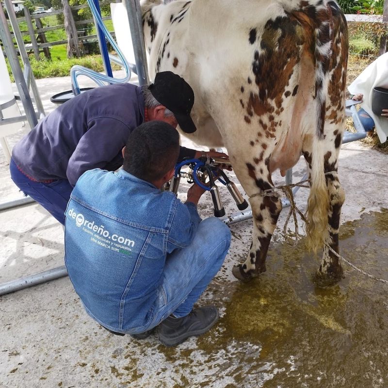 Equipo de Ordeño fijo 1 y 2 Puestos para vacas Importado AM línea económica — foto 3