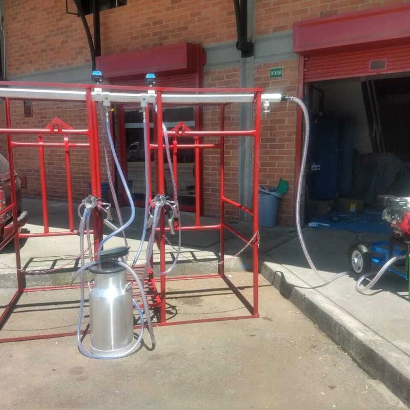 Establo de Ordeño fijo en Hierro pintado del color de gusto, con comederos para vacas de 2 puestos. — foto 2
