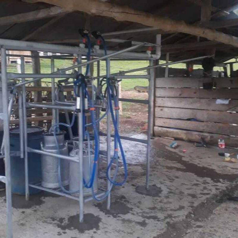 Establo de Ordeño fijo Galvanizado para vacas con comederos de 2 puestos. — foto 2