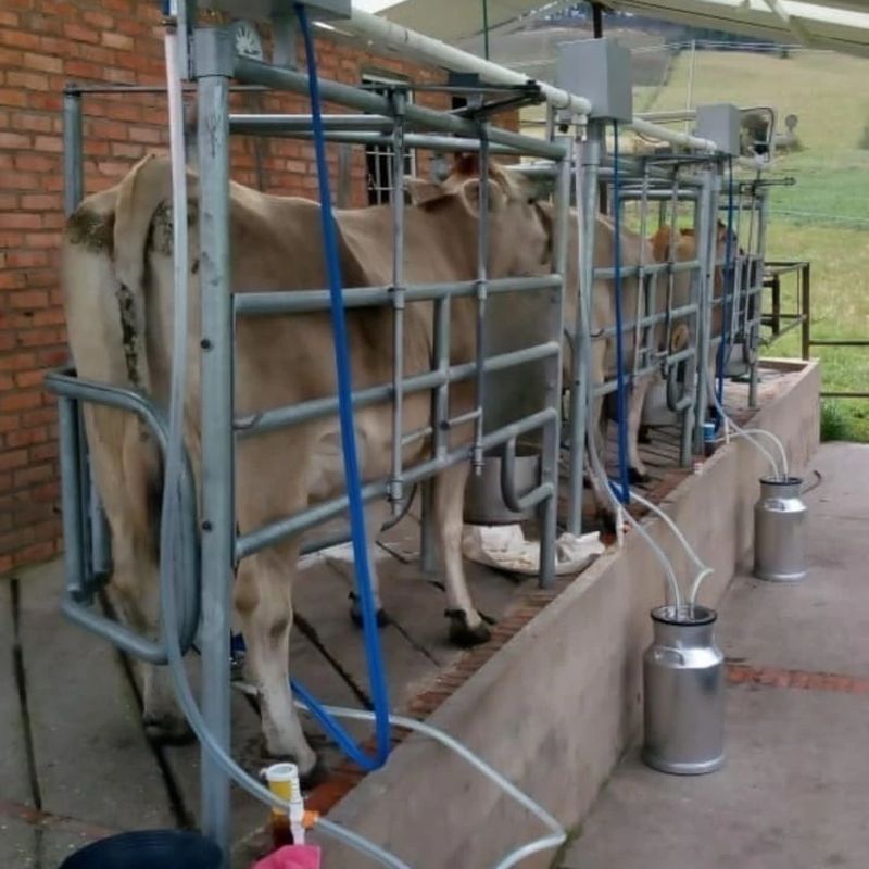 KIT DE PROTECCION GUADAÑA DE CARNAZA — foto 3