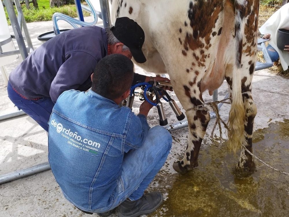 Equipo de ordeño fijo instalado en un establo con dos puestos
