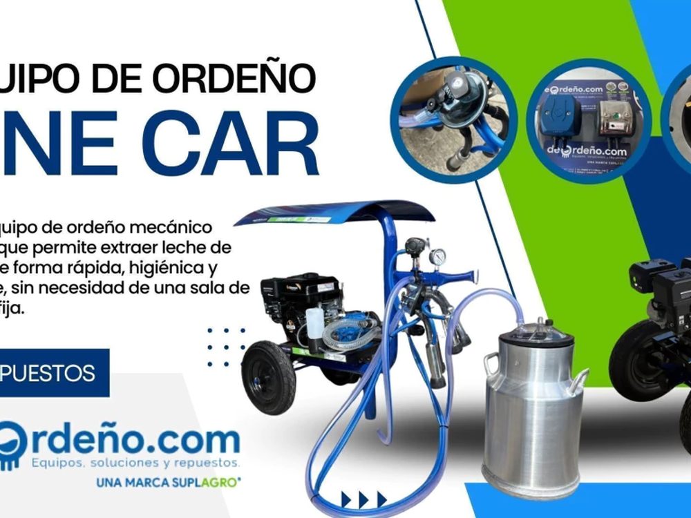 One Car con Techo — foto 3