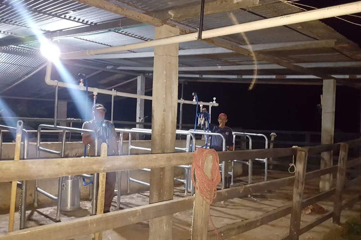 Equipo de ordeño fijo instalado en un establo con dos puestos