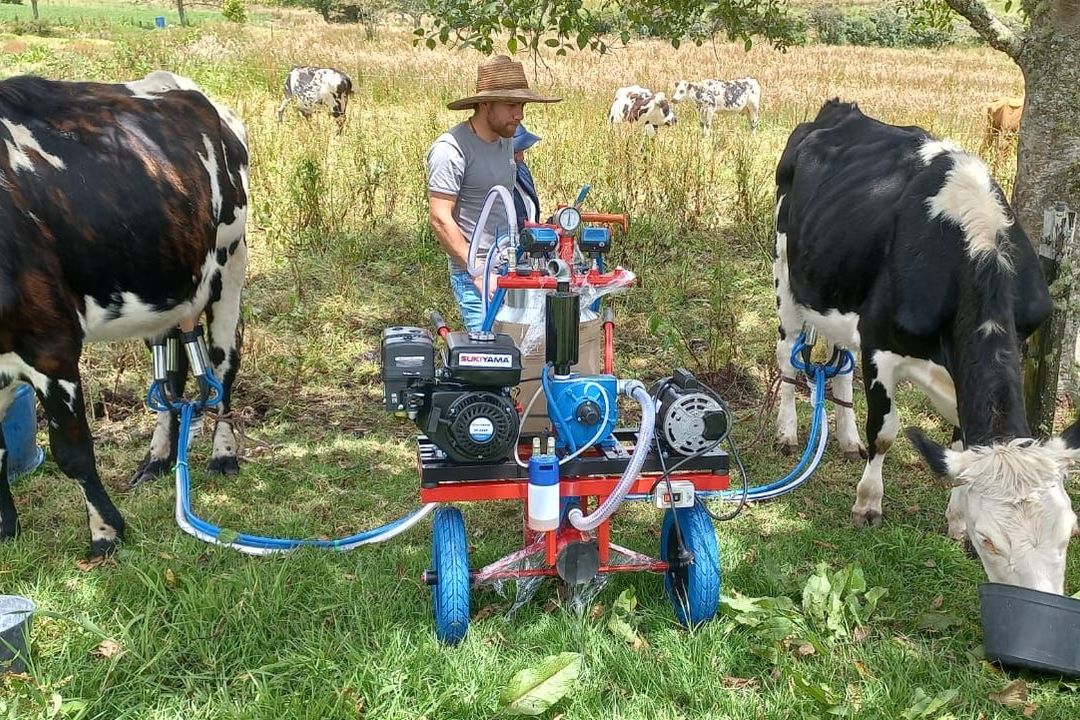 Ganadero ordeñando dos vacas al tiempo con un equipo Zan Car de deOrdeño en el potrero, con el resto del hato pastando detrás