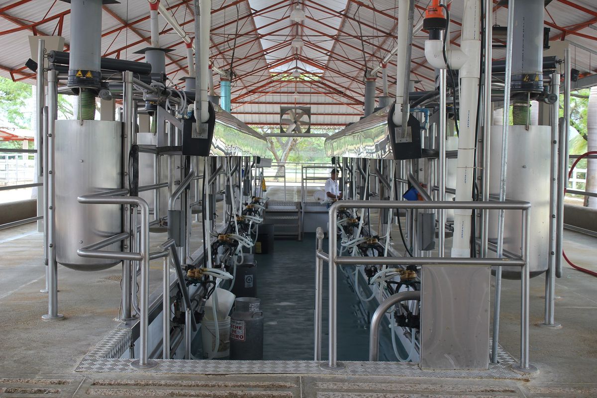 Sala de ordeño mecánico instalada por deOrdeño en Colombia