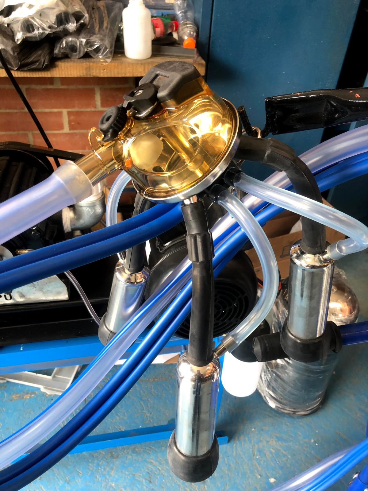 Unidad de ordeño completa con colector Classic 300 Premium